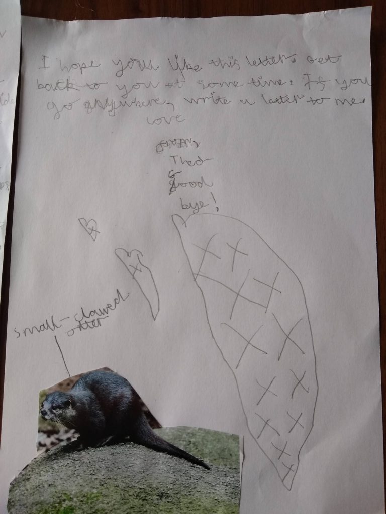 The last page of my letter, showing a picture of a small-clawed otter.