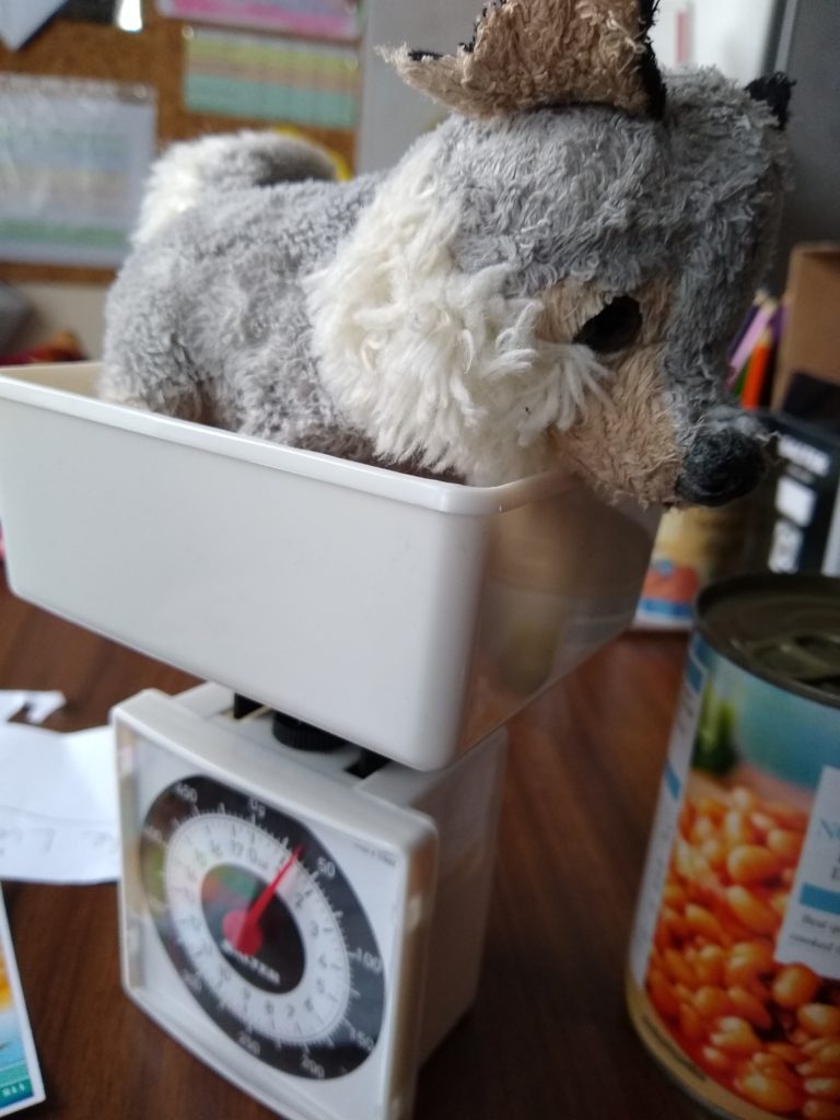 A toy wolf on the weighing scales that are showing 35 g.