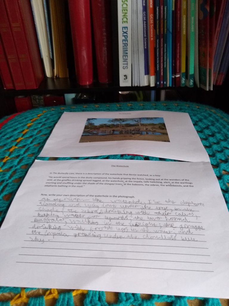 A photo showing a picture of a waterhole and the really long sentence with semi-colons.