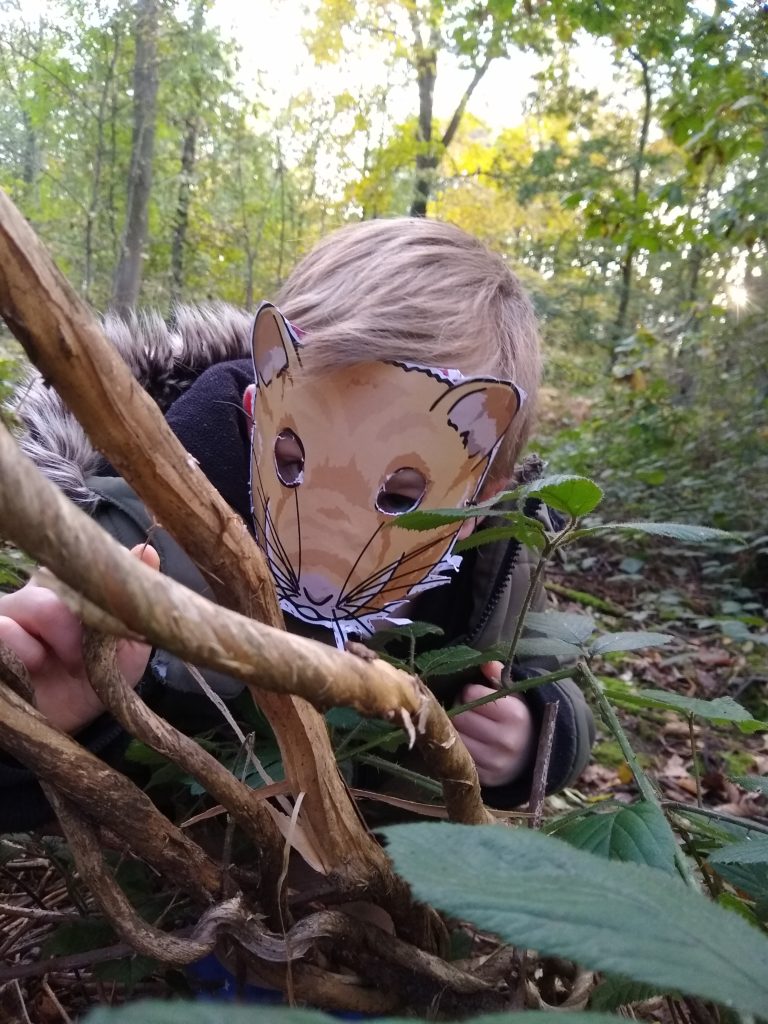A photo showing me wearing a dormouse mask, stripping off some honeysuckle in the brambles.