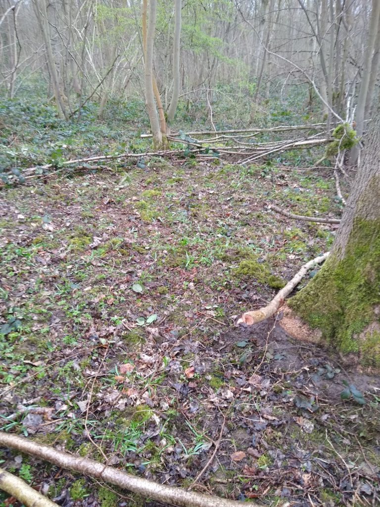 A photo of my picnic area at the moment.