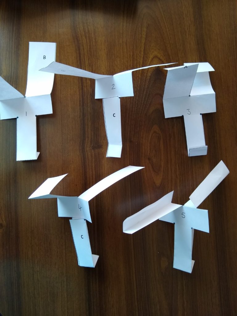 A photo showing our 5 shaped paper-copters. One has a longer stem and 3 have different wings.  The 1st is the original paper-copter.