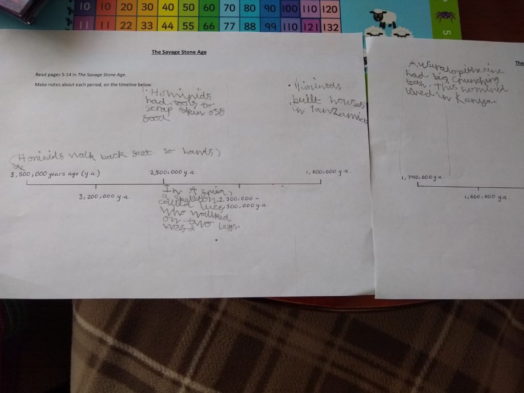 A photo showing my Stone Age timeline from 3, 500, 000 years ago to 1, 790, 000 years ago.