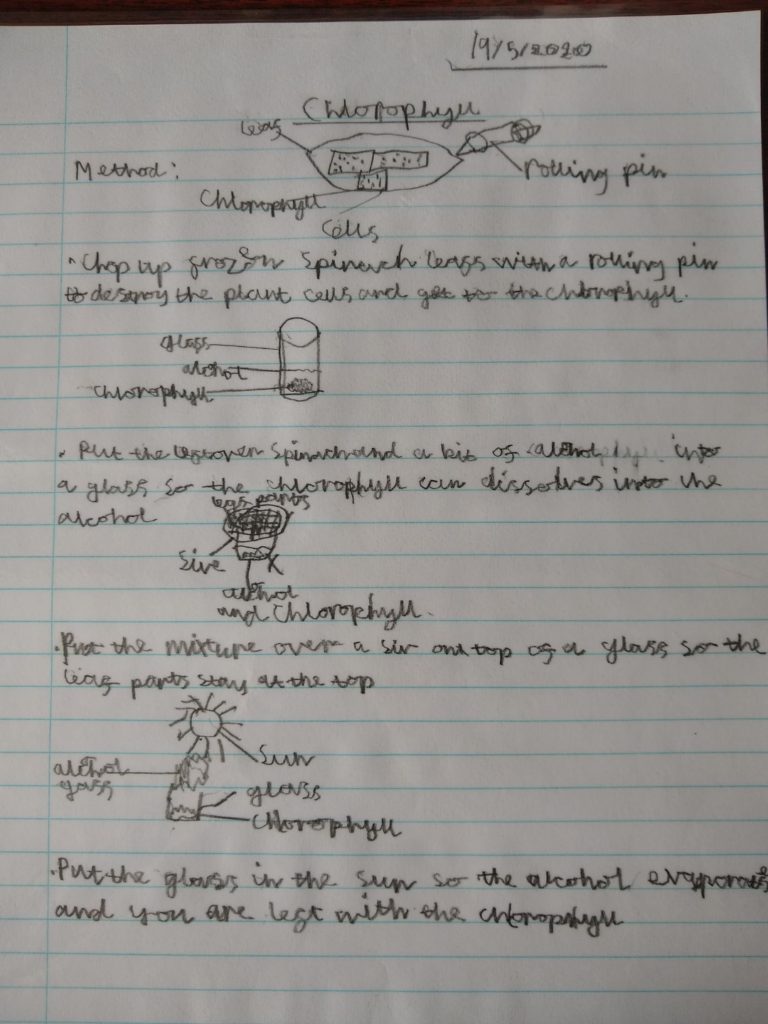 A photo showing the 4 instructions I did on how to get chlorophyll by itself.