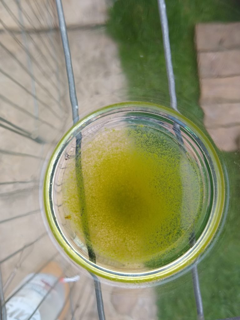 A photo of the glass of green liquid and some chlorophyll.