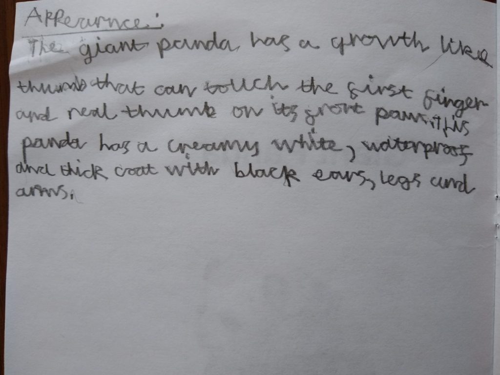 A photo of the first page of my panda book, showing a description of the giant panda's appearance.