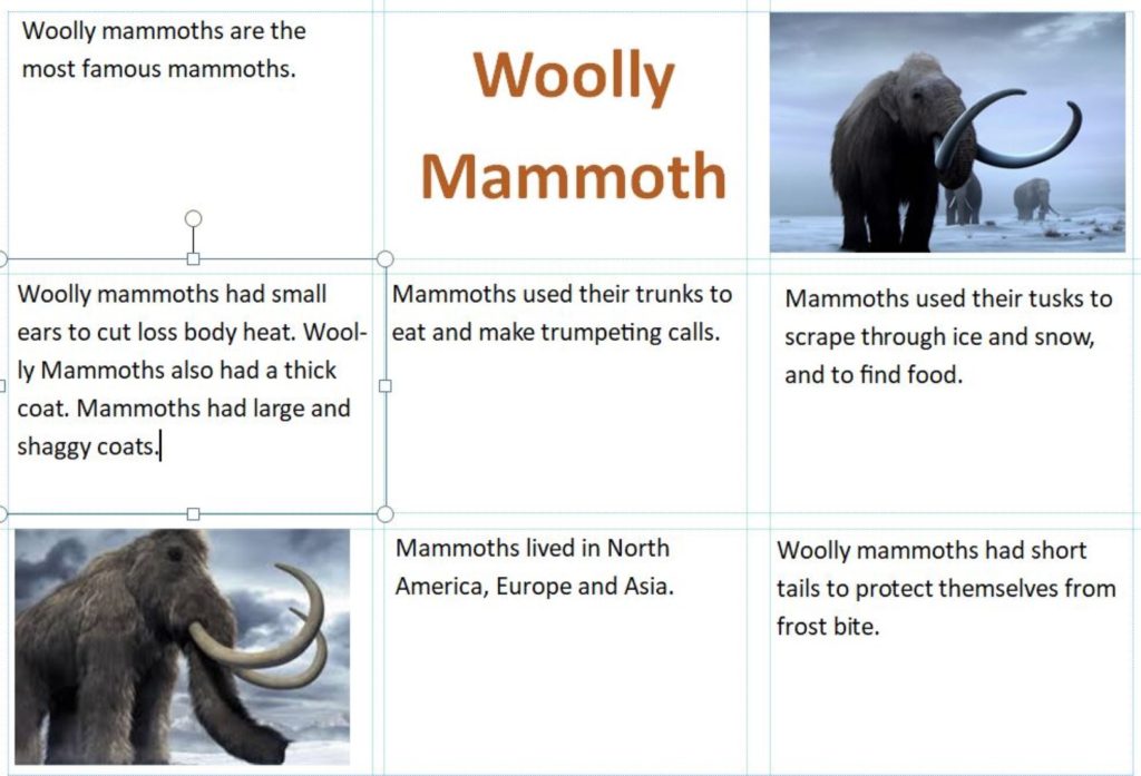 A screen shot showing my fact file one of the facts says "woolly mammoths are the most famous mammoths.