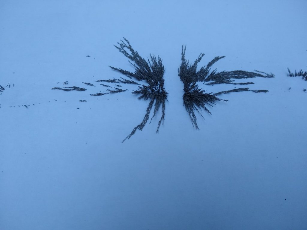 A photo of a magnetic field between two magnets repelling.