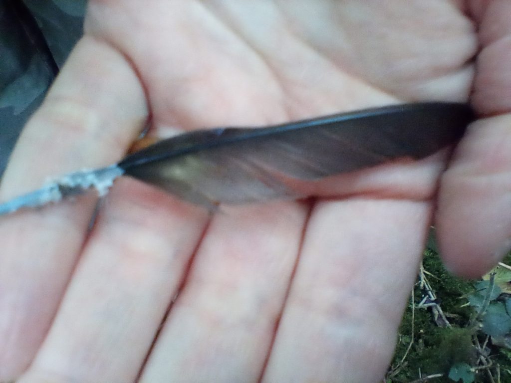 A photo of me holding a small black feather.