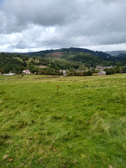 A photo showing a field with two cows stood in the distance.