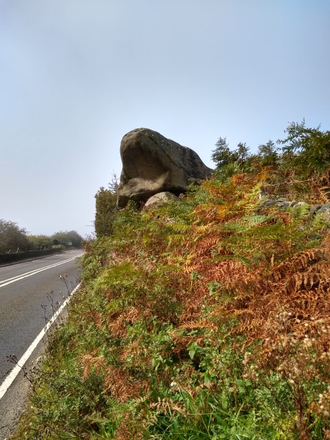 A photo of a rock shaped like a toad, by the roadside.