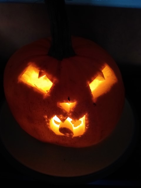 A photo of my pumpkin dragon glowing.