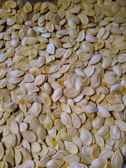A photo of the creamy seeds.