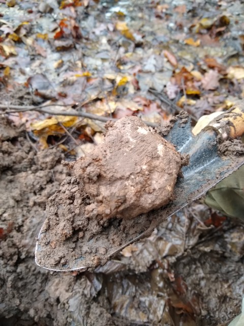 A photo of a sample of muddy limestone on a trowel.