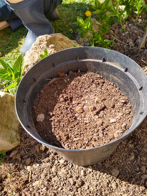 A photo of the pot with fertiliser in.