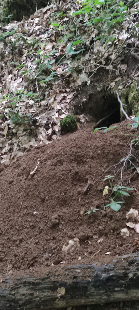 Photo of a mound of soil in front of a hole