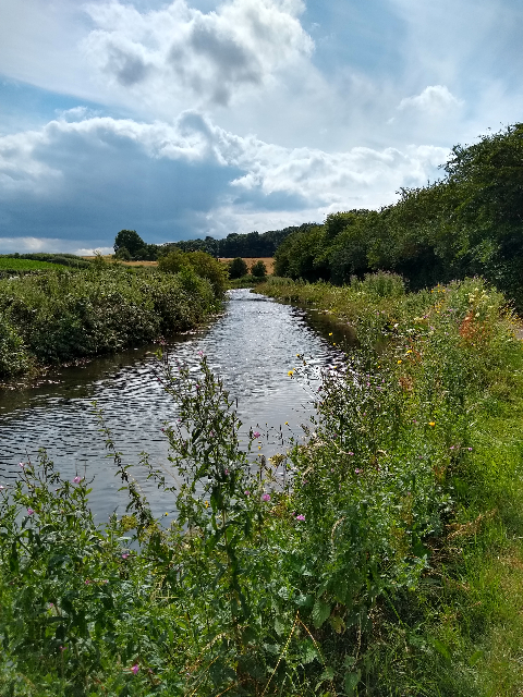 A view of the canal going into the distance, surrounded by countryside.
