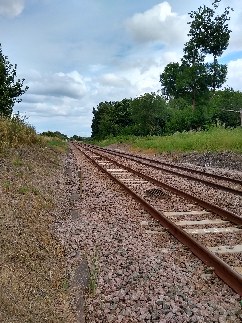 A photo of two railway tracks going into the distance.