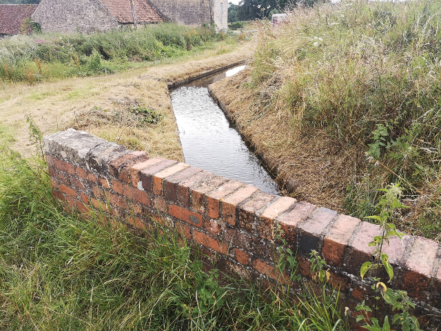 A small watercourse behind a brick wall.