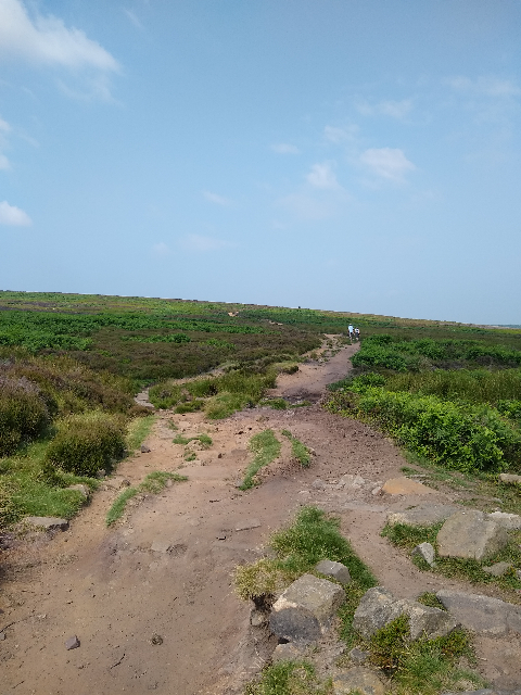 A photo showing the sandy path winding over the moors