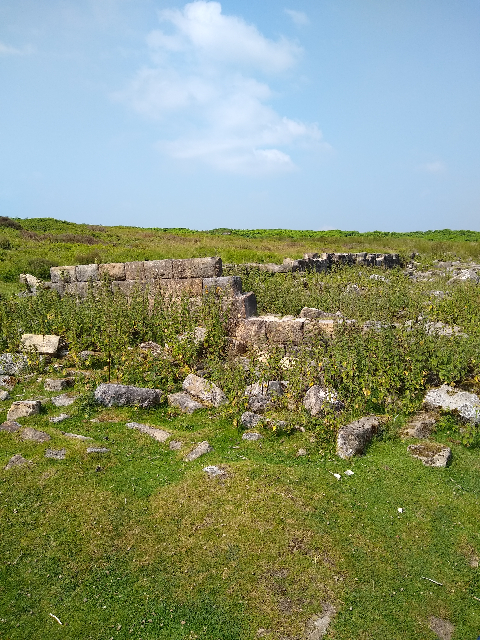 Stony remains of a building laying in the grass.