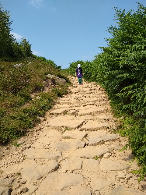 TK walking down a steep path made of large boulders.