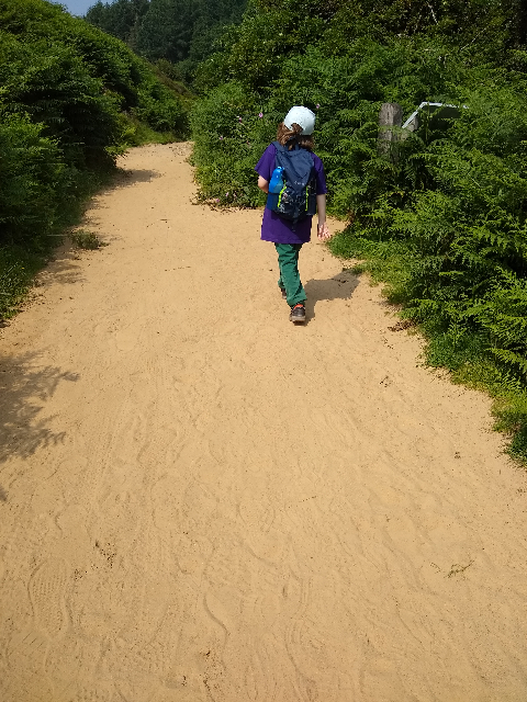 TK walking along a sandy path.