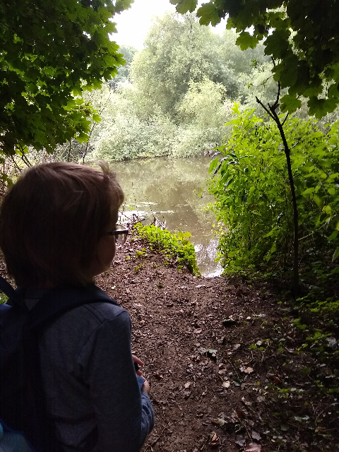 A photo of a boy looking out across a wide river, from the shelter of trees.