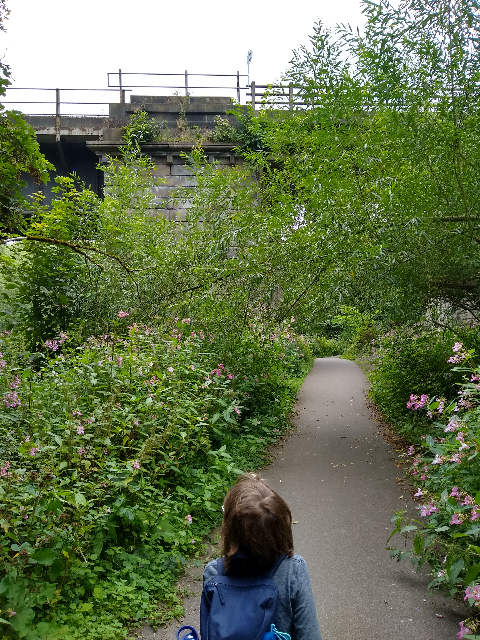 A photo of a boy on a tarmac path edged with tall pink flowers, about to walk under a low brick bridge.