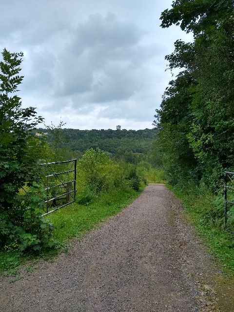 A photo of a gravel path sloping away with trees either side and in the distance.