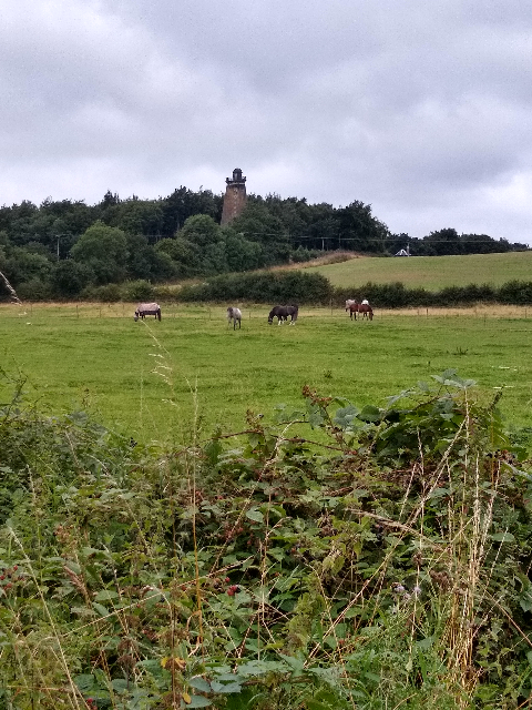 A photo of a stone tower in the distance with horses grazing in the foreground.