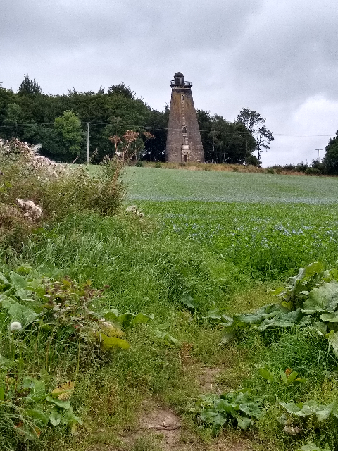 A photo of a stone tower in the shape of a triangle-based pyramid. In the foreground is a field of delicate blue flowers.