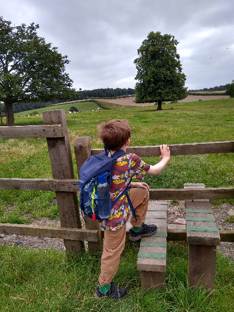 A photo of a boy about to climb a wooden stile into a field, with cows visible in the distance.