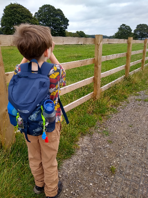 A photo of a boy looking over the grass and trees into the distance.