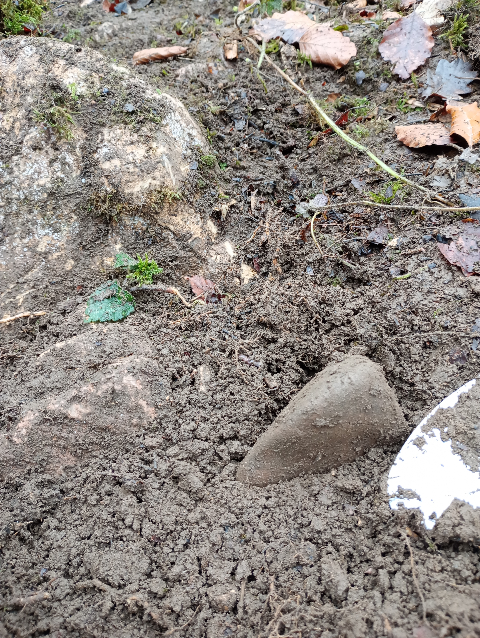Location of suspected saddle quern stone in the mud.